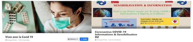 Figure 3 : corpus relevés du groupe public « Vivre avec la Covid 19 » / groupe privé Coronavirus COVID-19 Informations & Sensibilisation DZ 