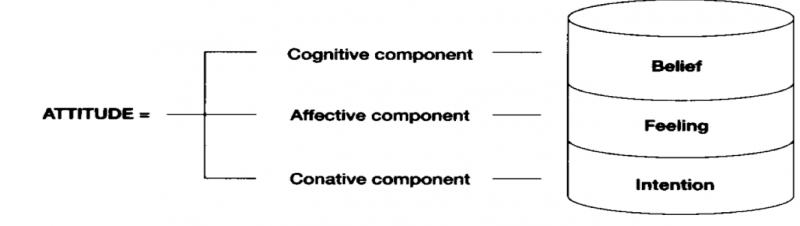 Figure.1 : Components of Attitudes16